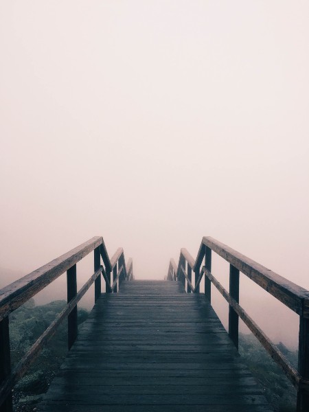 pont paysage brume